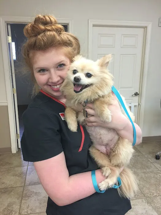 Grace Animal Hospital Picture 10