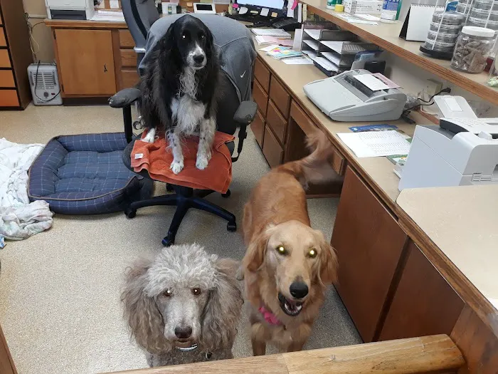 Harrison Central Veterinary Hospital Picture 2