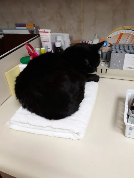 Harrison Central Veterinary Hospital Picture 7