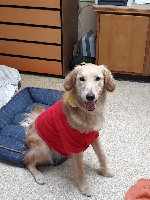 Harrison Central Veterinary Hospital Picture 5