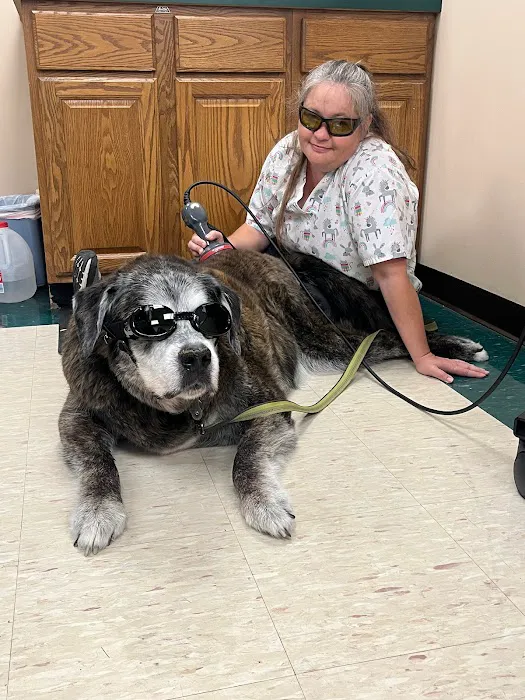 All Pets Animal Clinic Picture 3