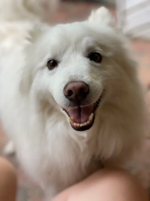 All Pets Animal Clinic Picture 9