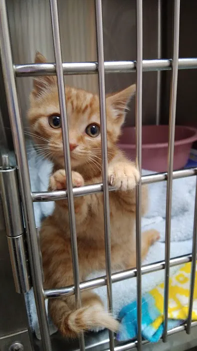 All Pets Animal Clinic Picture 7