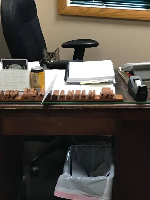All Pets Animal Clinic Picture 10
