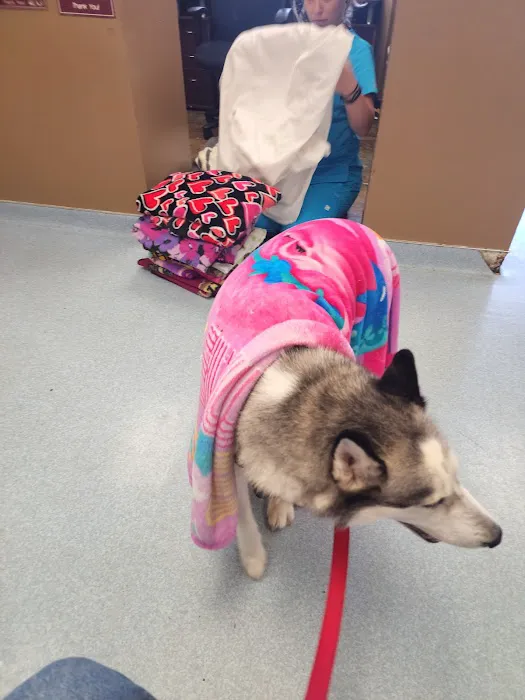 Clarksburg Veterinary Hospital Picture 1