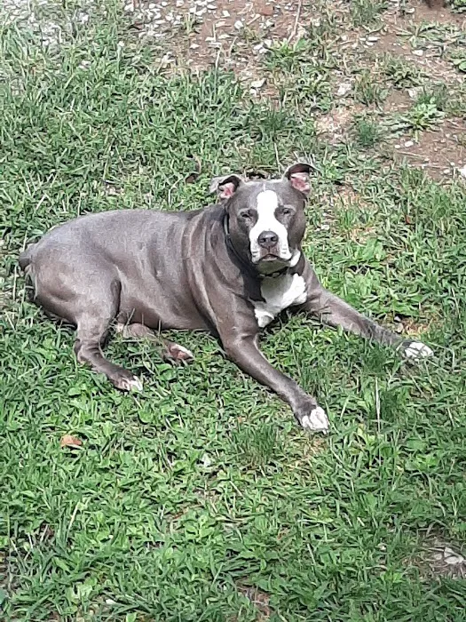 Claysville Animal Care Picture 1