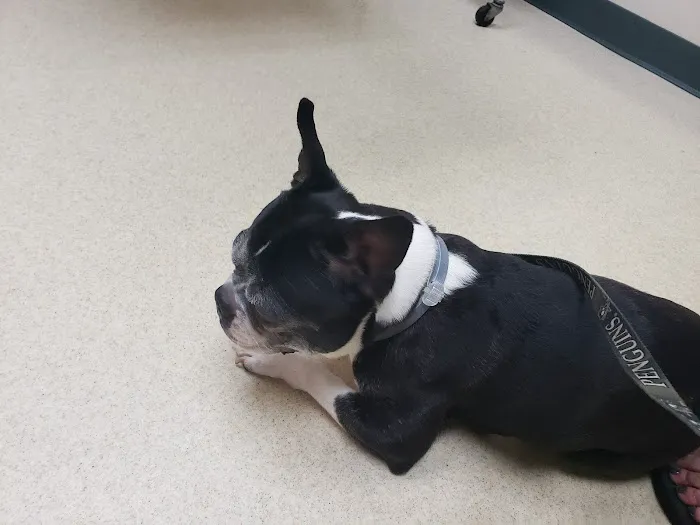 Claysville Animal Care Picture 5