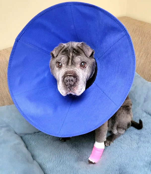 Eastport Animal Hospital Picture 3