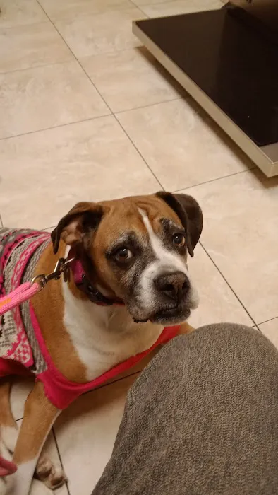 Eastport Animal Hospital Picture 8