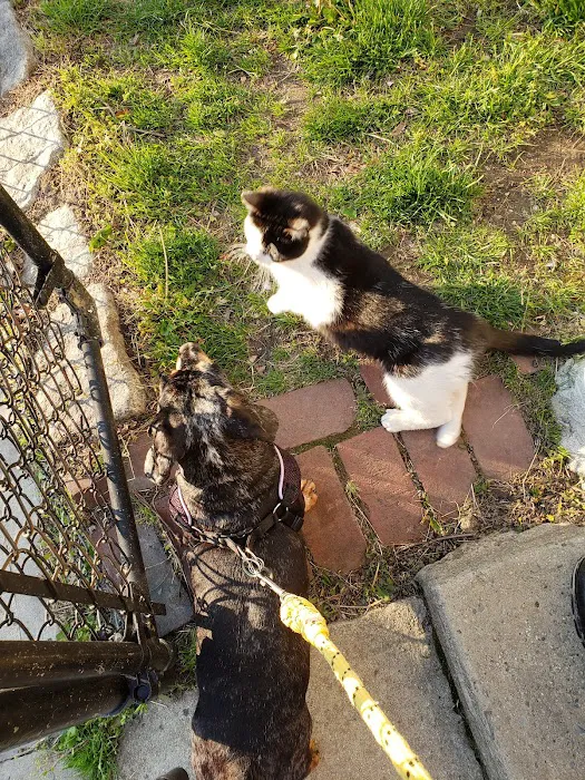 The Moriches Hospital For Animals Picture 2