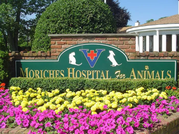 The Moriches Hospital For Animals Picture 1
