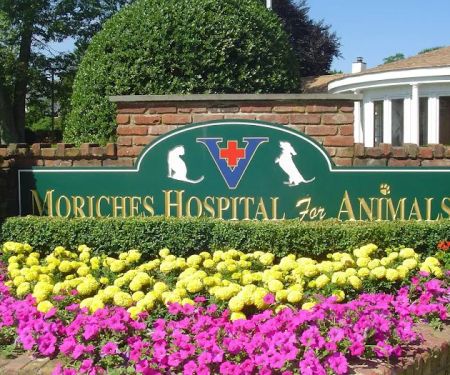 The Moriches Hospital For Animals