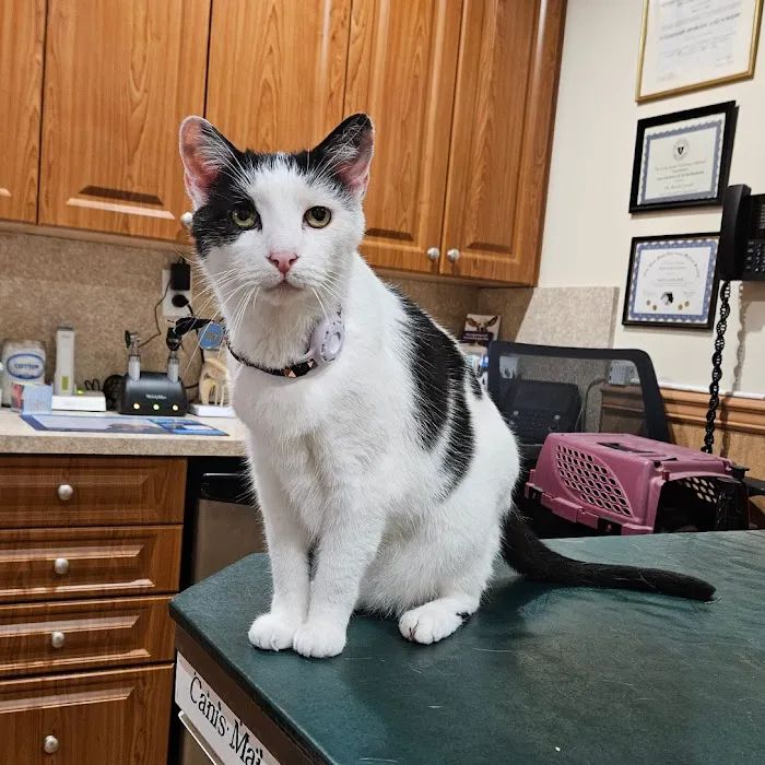 The Moriches Hospital For Animals Picture 5