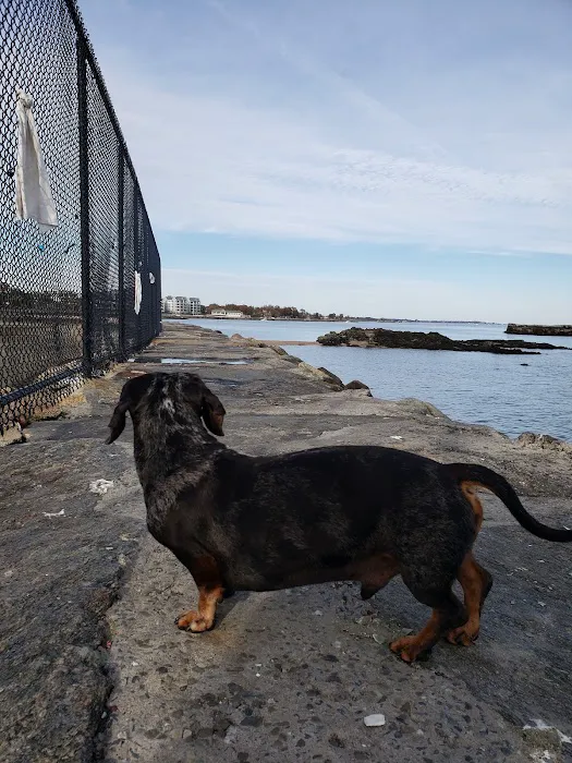 The Moriches Hospital For Animals Picture 4