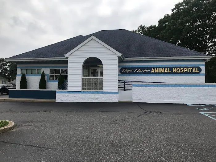 Floyd Harbor Animal Hospital Picture 3