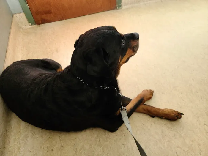 Hampton Veterinary Hospital Picture 3