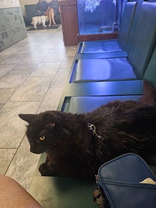 Hampton Veterinary Hospital Picture 7