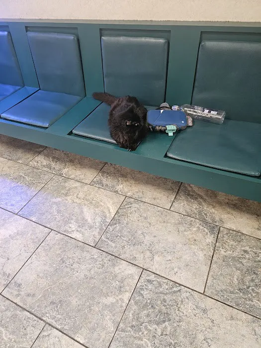 Hampton Veterinary Hospital Picture 8