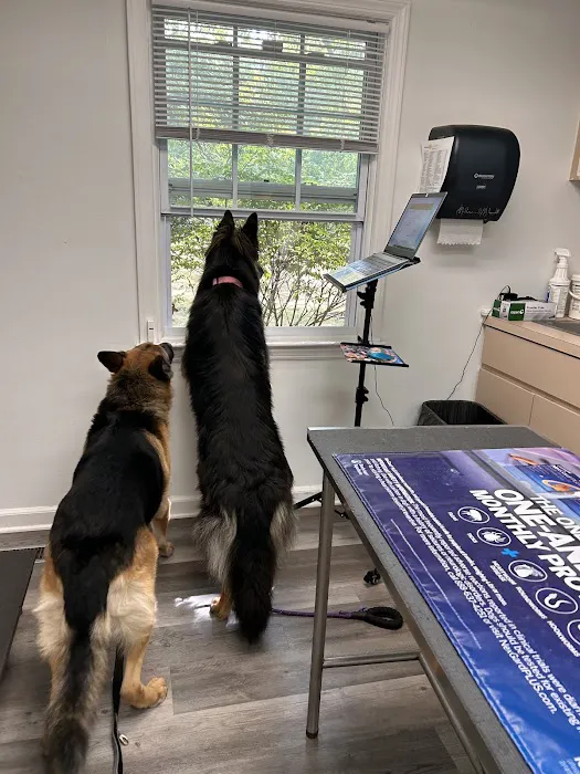 Bideawee Animal Hospital Picture 3