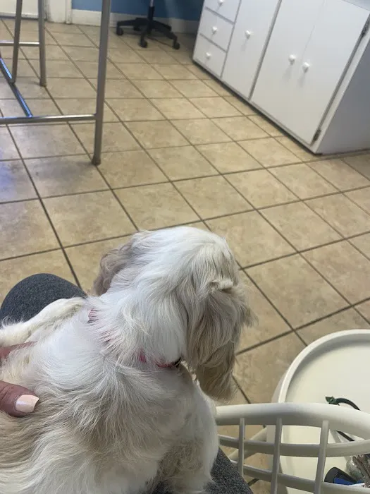Aquebogue Veterinary Hospital Picture 1