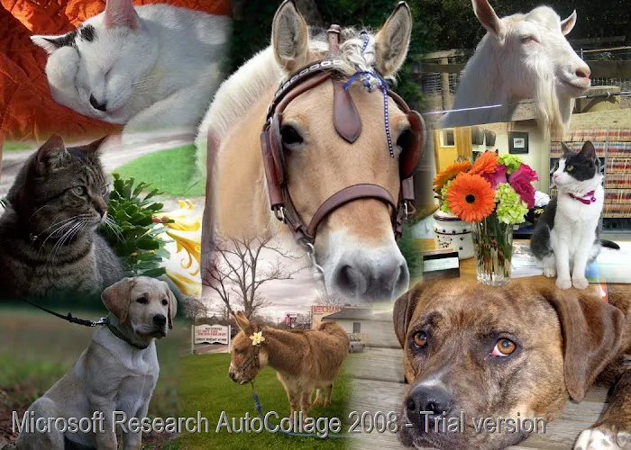 Mattituck-Laurel Veterinary Hospital Picture 3