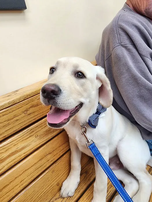 Mattituck-Laurel Veterinary Hospital Picture 5