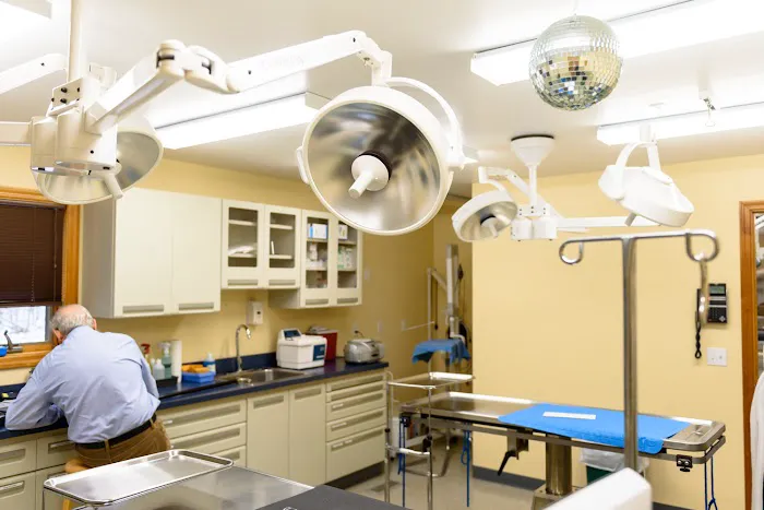Mattituck-Laurel Veterinary Hospital Picture 10