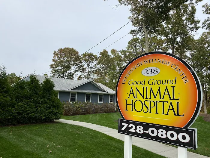 Good Ground Animal Hospital Picture 1