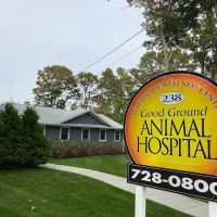 Good Ground Animal Hospital ico