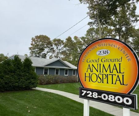 Good Ground Animal Hospital