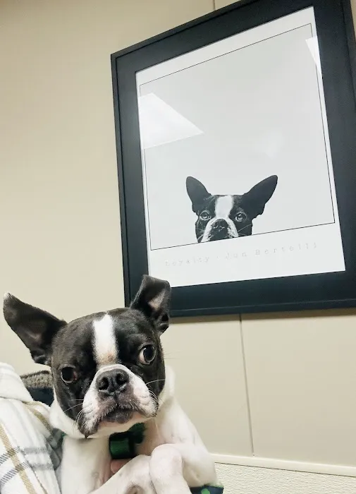 Wheatfield Animal Hospital Picture 5
