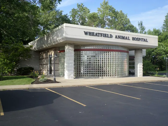 Wheatfield Animal Hospital Picture 7