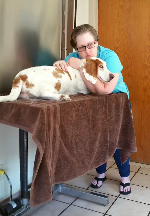 Wheatfield Animal Hospital Picture 8