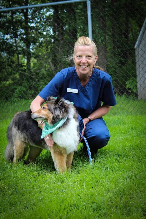 Wheatfield Animal Hospital Picture 10