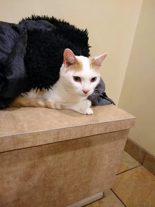 Companion Care Animal Hospital Picture 2