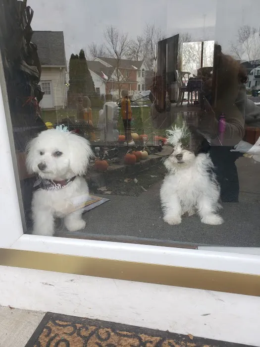 Companion Care Animal Hospital Picture 6