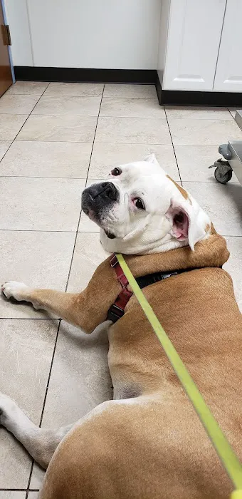 McClelland Small Animal Hospital Picture 2