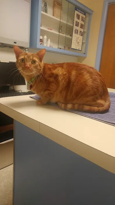 McClelland Small Animal Hospital Picture 7