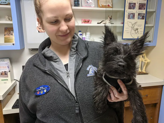 Mcclelland Small Animal Hospital: Reynders Marylisa DVM Picture 7