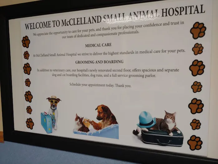 Mcclelland Small Animal Hospital: Reynders Marylisa DVM Picture 5