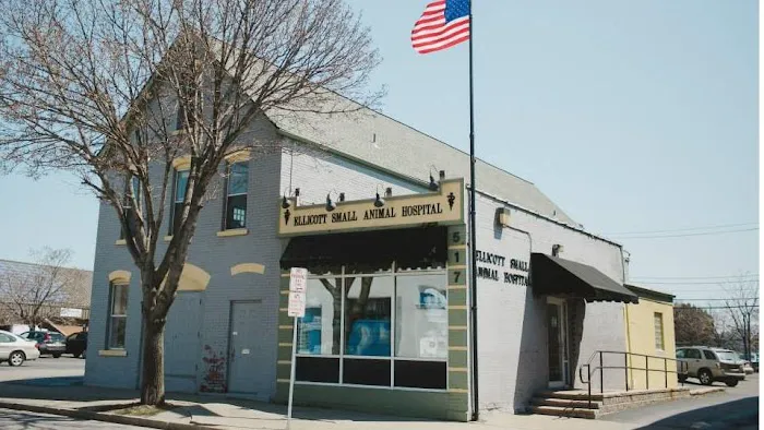 Ellicott Street Animal Hospital Picture 1