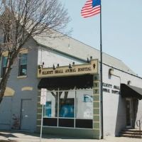 Ellicott Street Animal Hospital ico