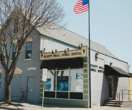 Ellicott Street Animal Hospital