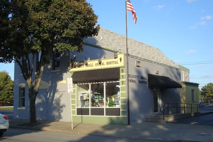 Ellicott Street Animal Hospital Picture 2