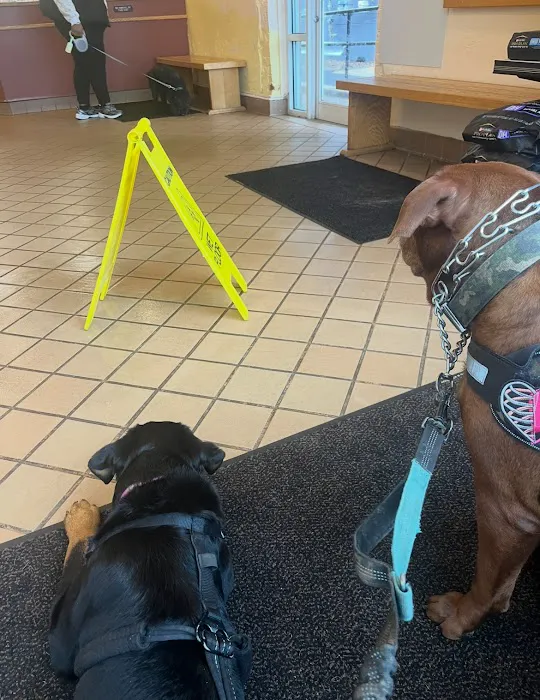 Ellicott Street Animal Hospital Picture 5