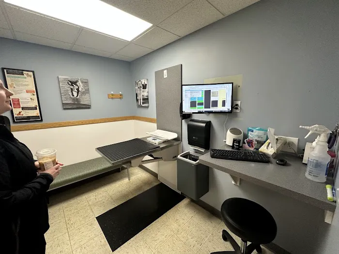Ellicott Street Animal Hospital Picture 7