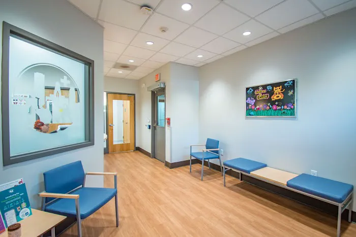 Buffalo Small Animal Hospital Picture 6