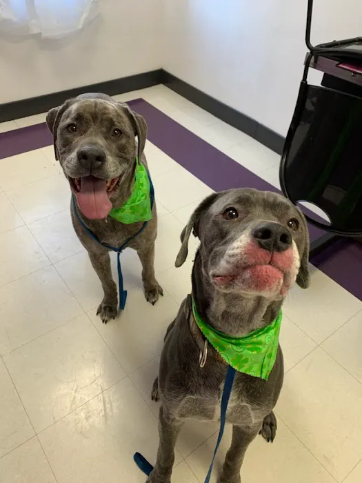 Nickel City Animal Hospital Picture 1