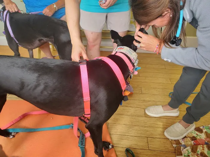 Nickel City Animal Hospital Picture 8