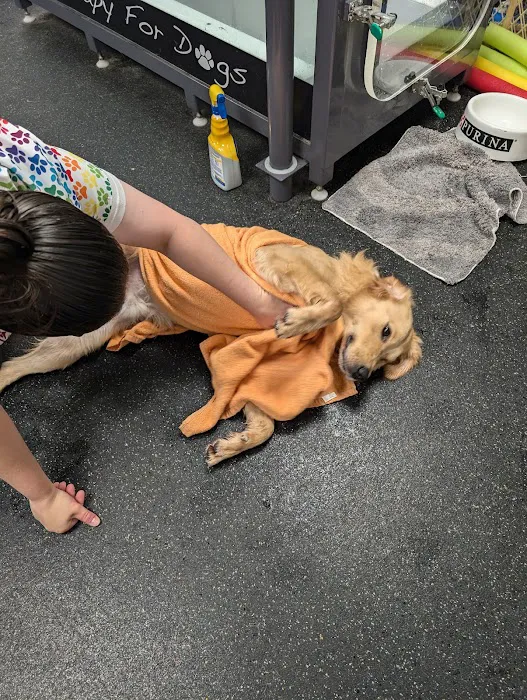 Nickel City Animal Hospital Picture 5